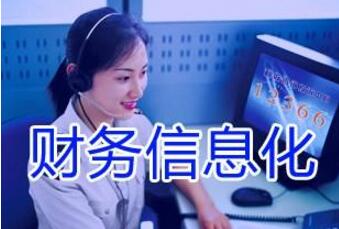 財務(wù)管理軟件