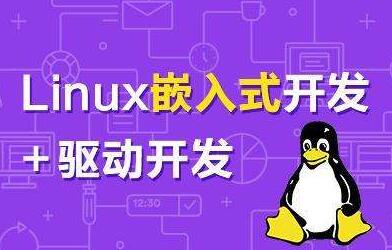 你應當從事嵌入式開發(fā)還是軟件工程開發(fā)？